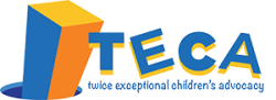 Teca Logo Footer